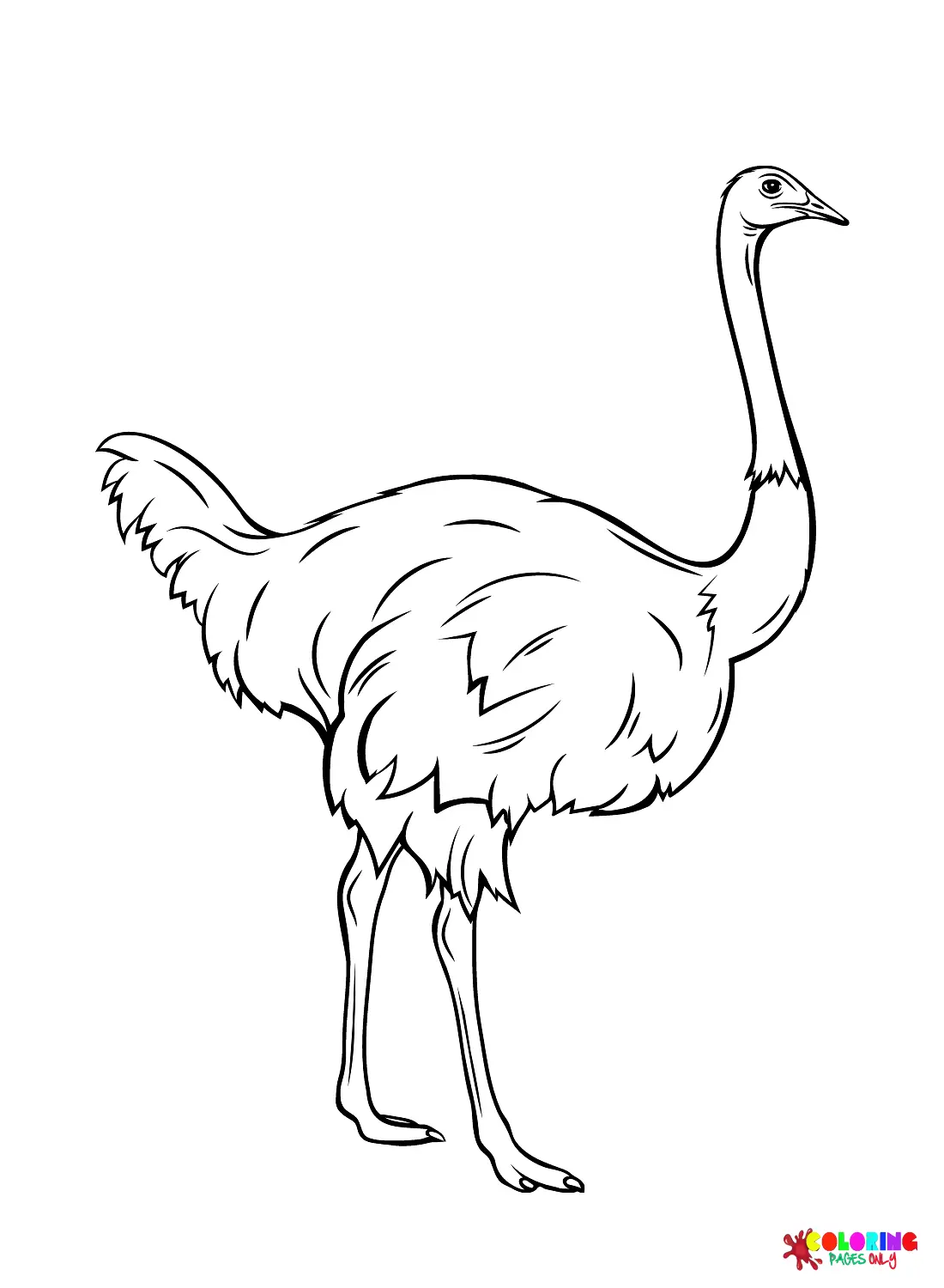 Emu Coloring Pages 30