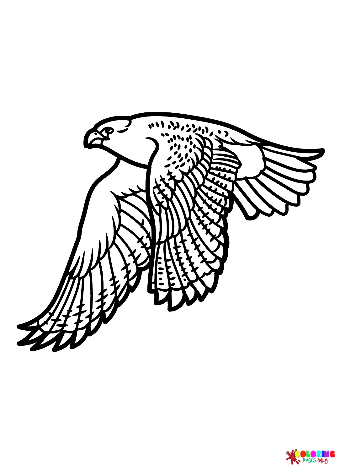 Falcon Coloring Pages 16