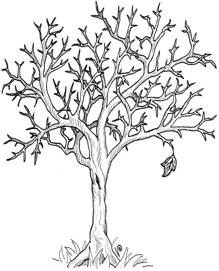 arbol De Otono Para Colorear 7