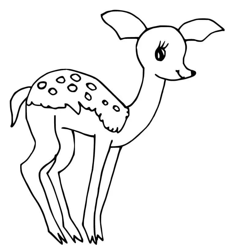 Fawn Coloring Pages 32