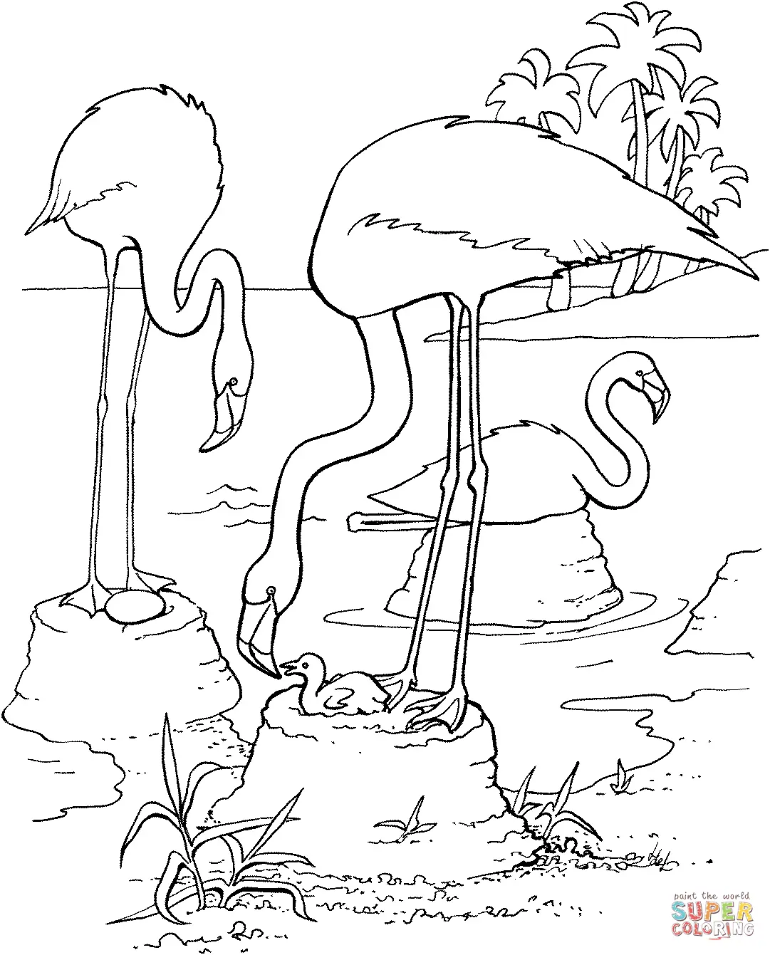 Flamingo Coloring Pages 3