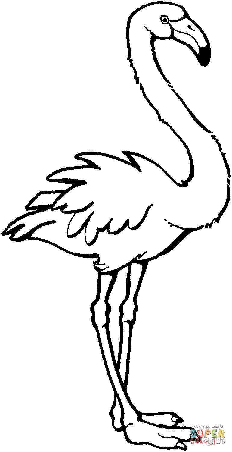 Flamingo Coloring Pages 30