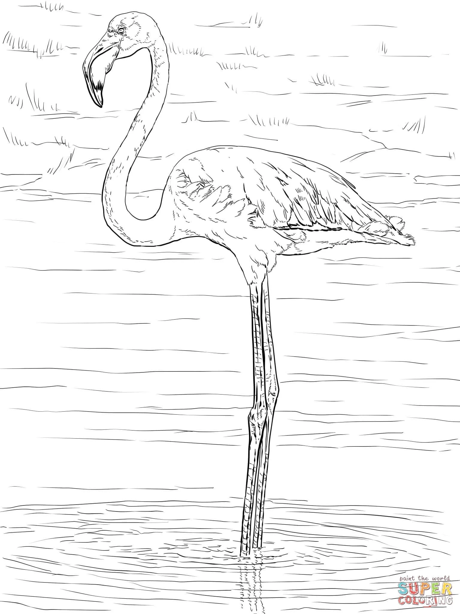 Flamingo Coloring Pages 32