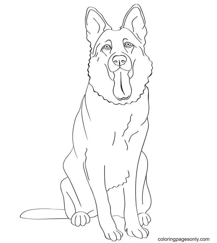 German Shepherd Coloring Pages 2