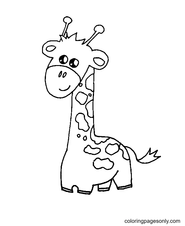 Giraffen Ausmalbilder 47