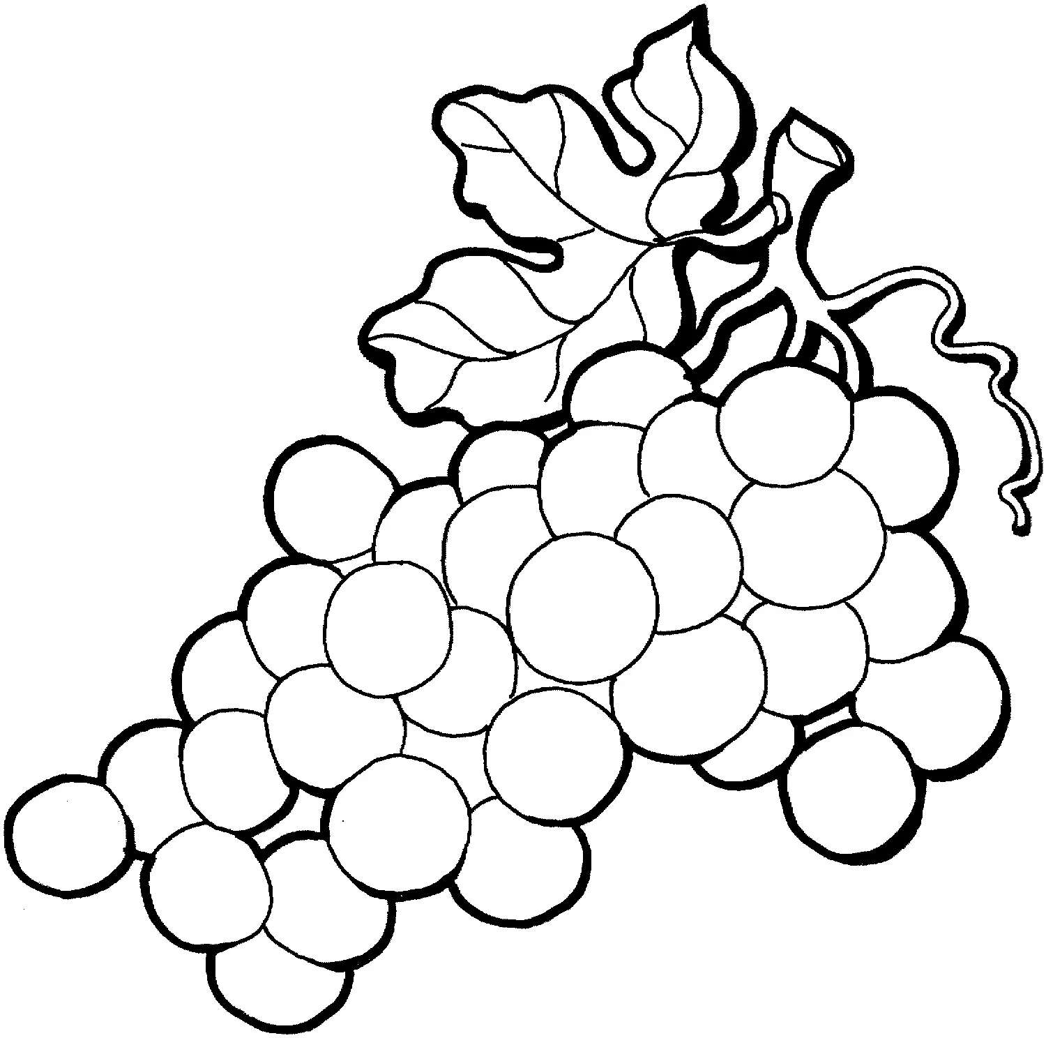 Uvas Para Colorear 20