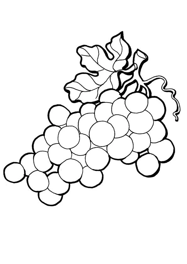 Uvas Para Colorear 4