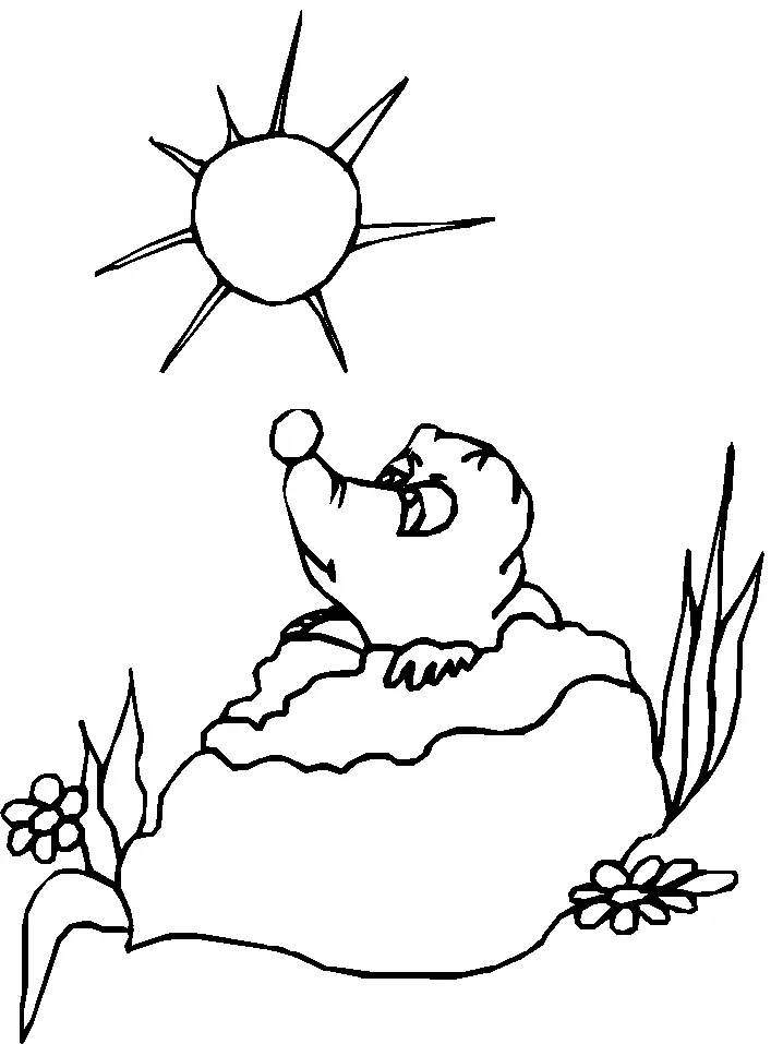 Desenhos de Marmotas Para Colorir 22