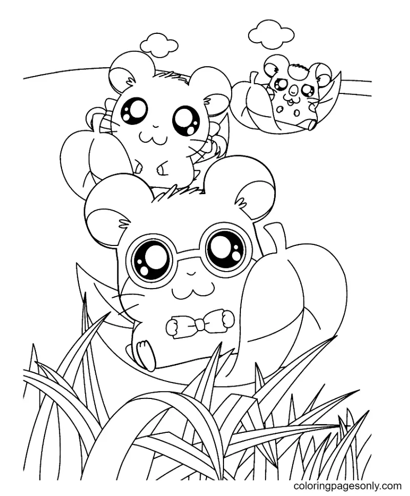 Hamster Coloring Pages 47