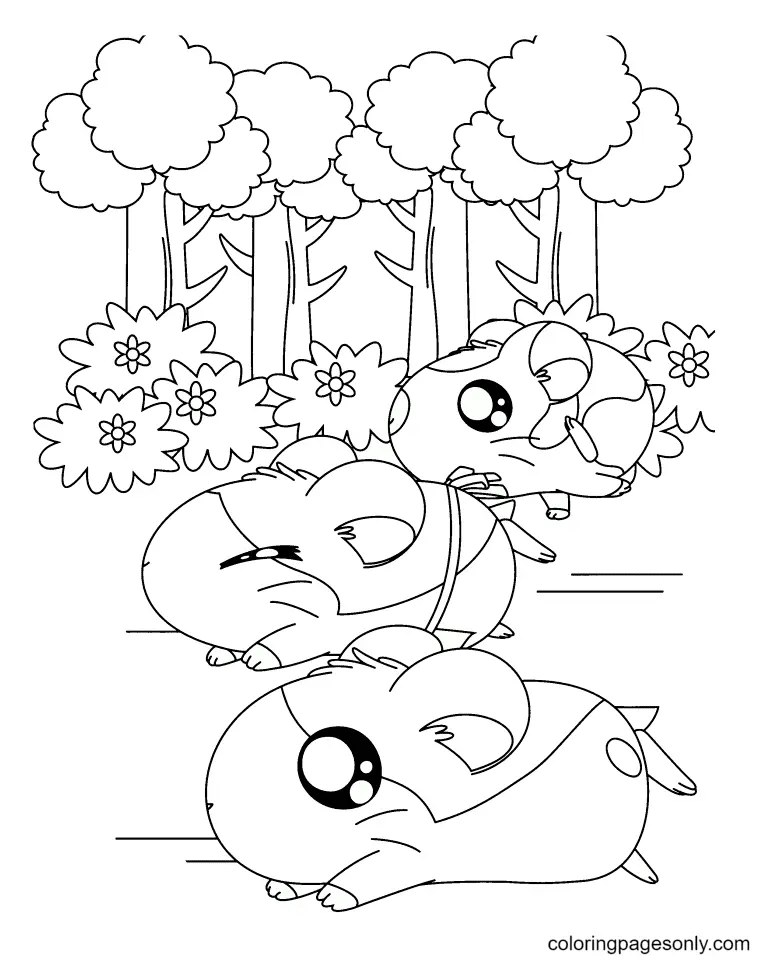 Hamster Coloring Pages 60