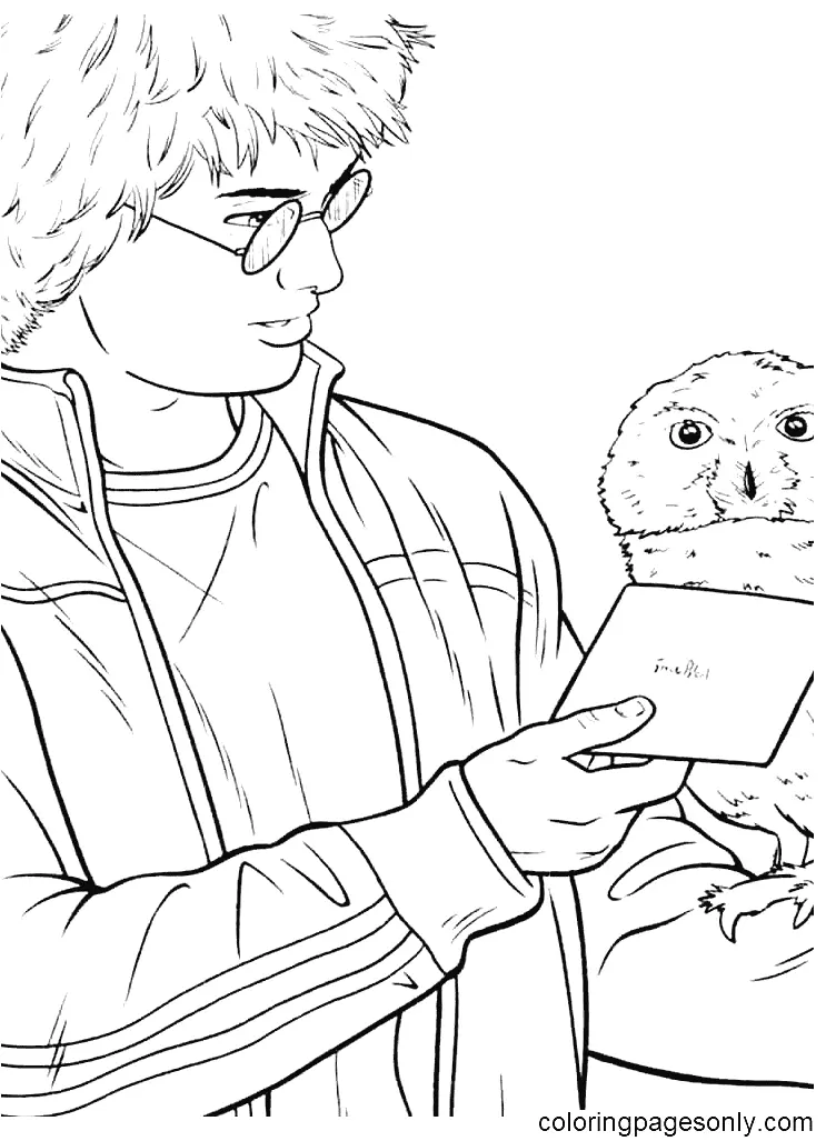 Harry Potter Para Colorear 23