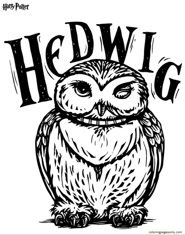 Harry Potter Para Colorear 27