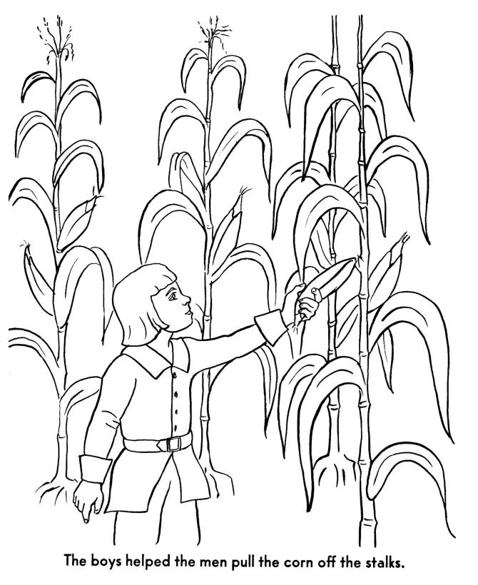 Cosecha Para Colorear 24