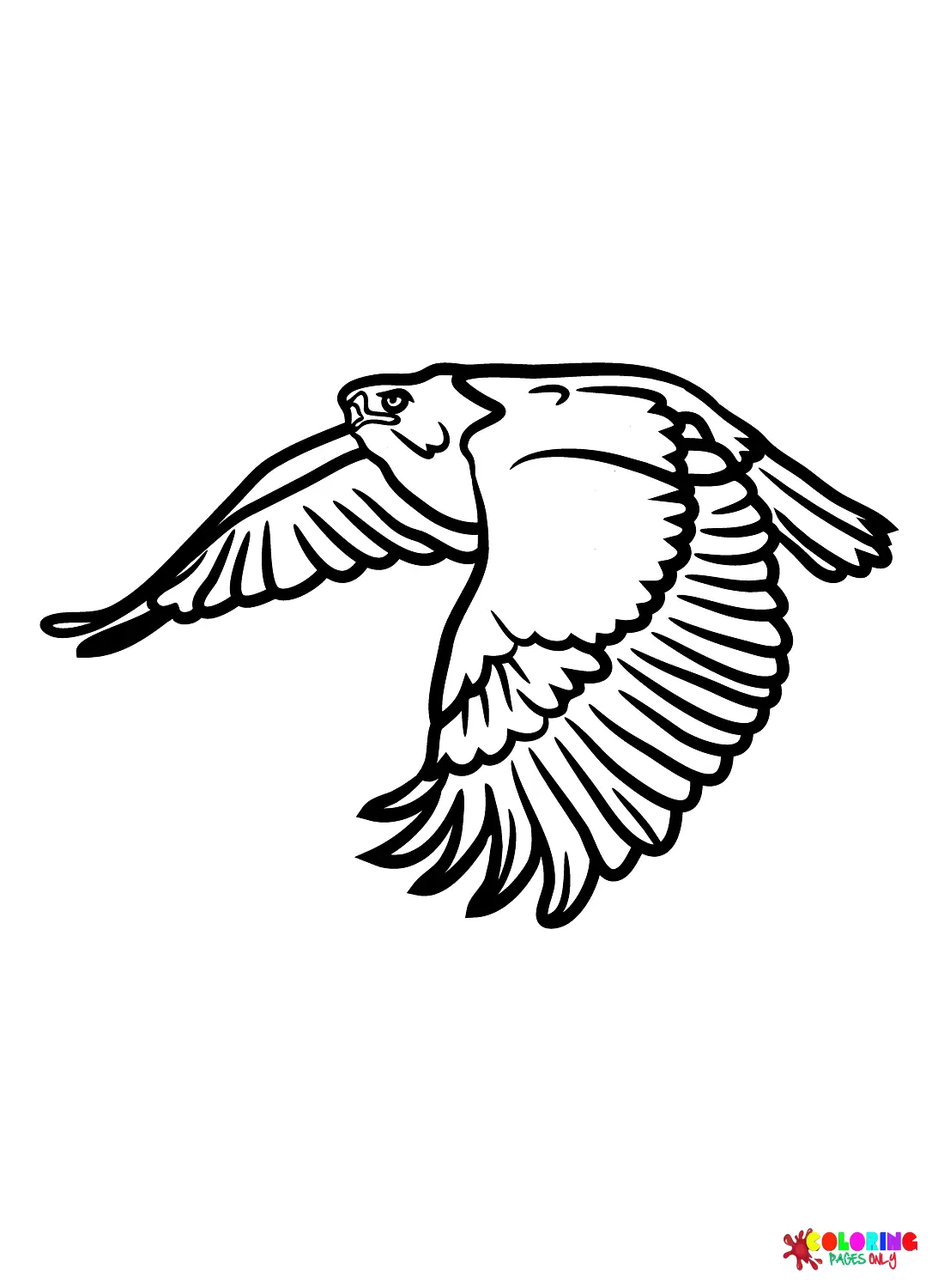 Hawks Coloring Pages 23