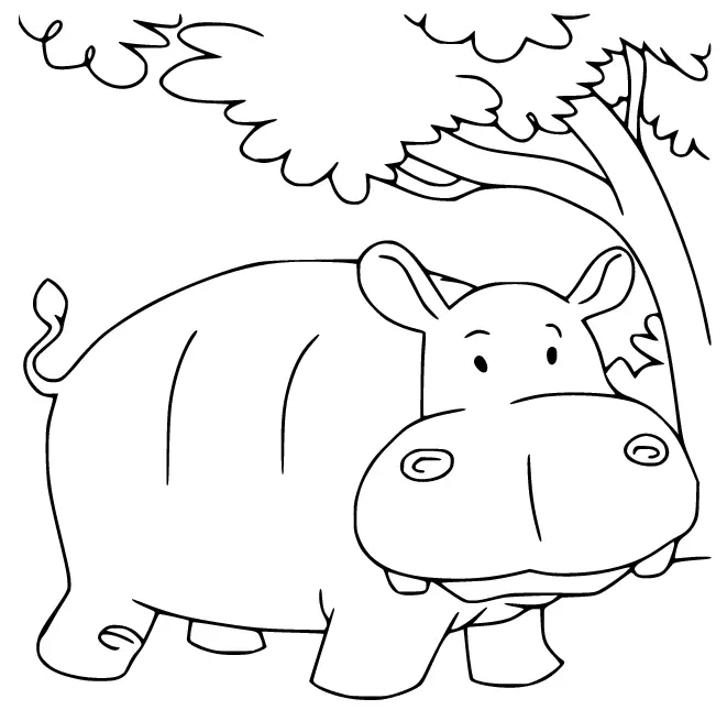 Hipopotamos Para Colorear 33