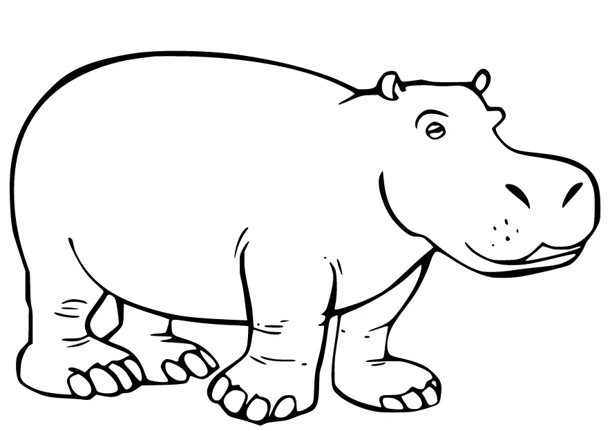 Hipopotamos Para Colorear 63