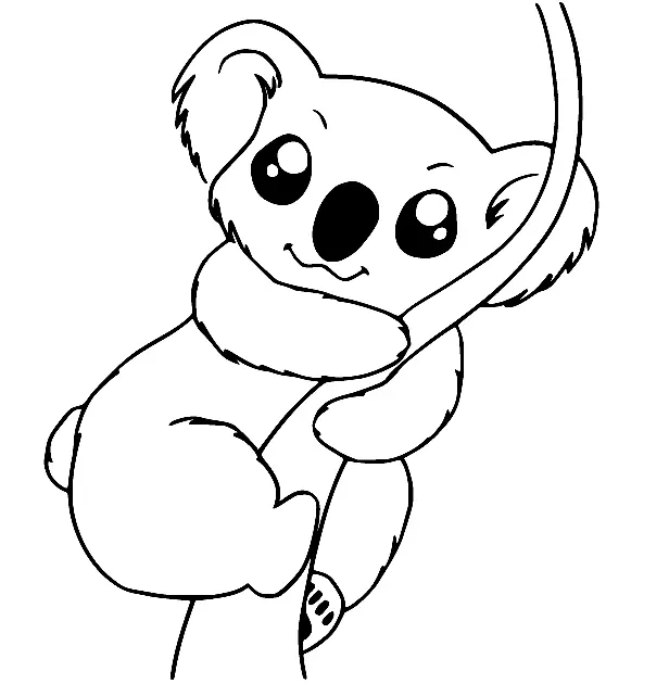 Koala Coloring Pages 18