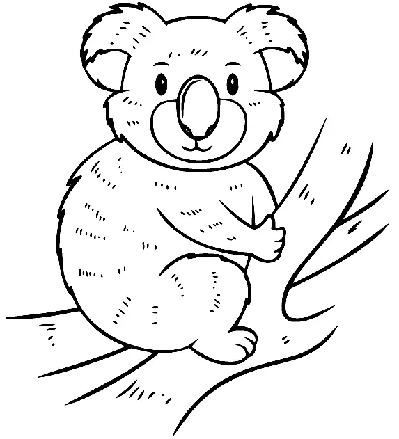 Koala Coloring Pages 59