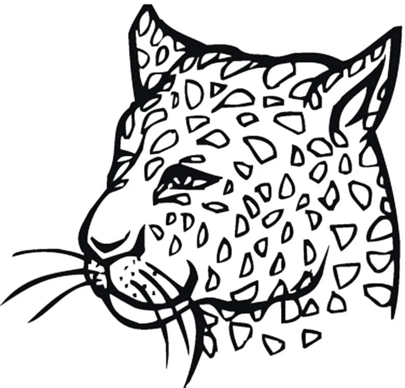Desenhos de Leopardos Para Colorir 25