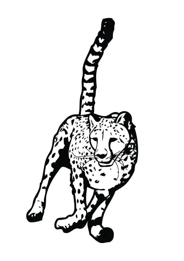 Desenhos de Leopardos Para Colorir 75