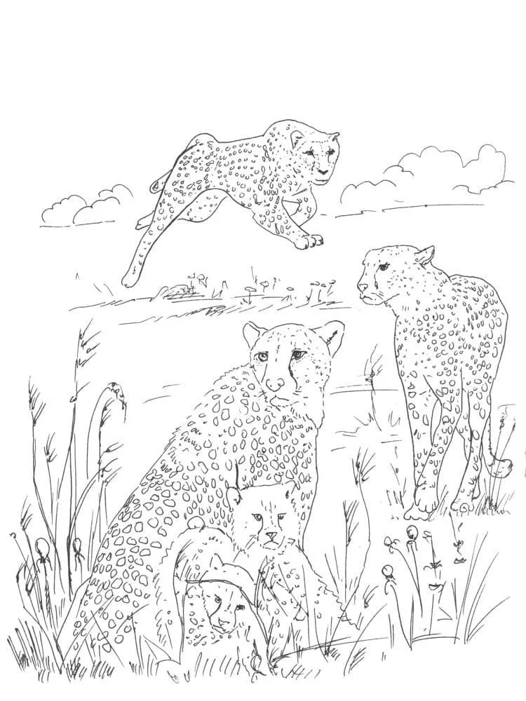 Desenhos de Leopardos Para Colorir 99