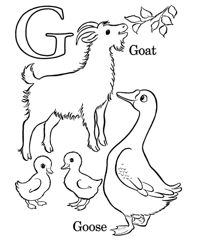 Letter G Coloring Pages 4