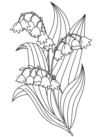 Lily Of The Valley Coloring Pages 4