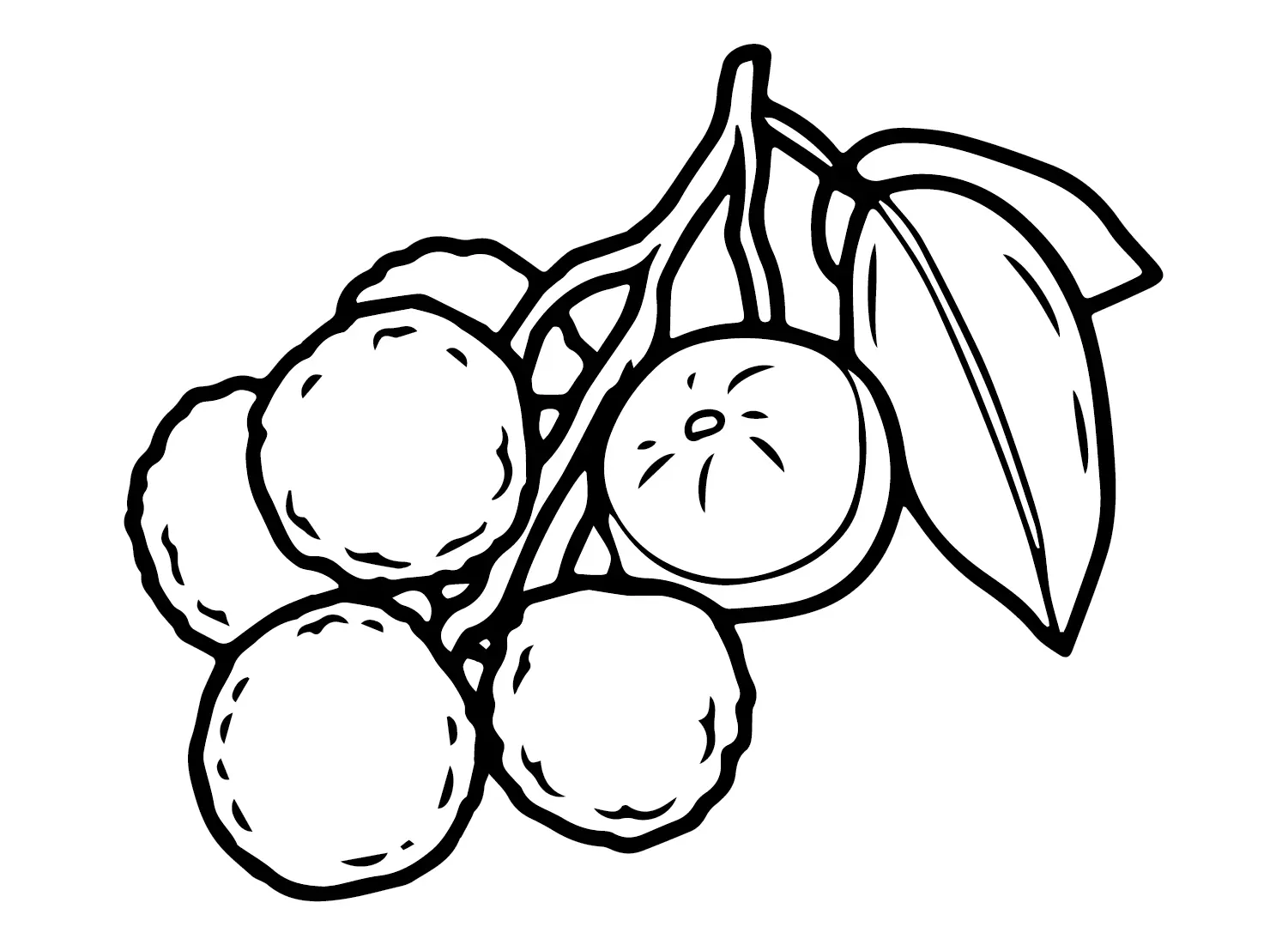 Lychee Ausmalbilder 22