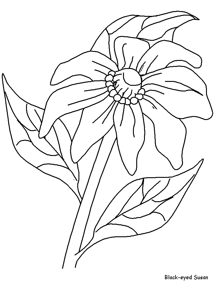 Mistletoe Coloring Pages