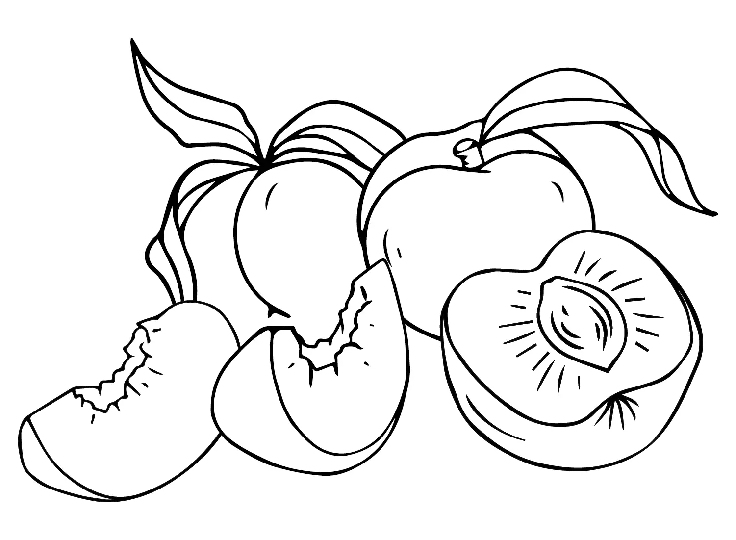 Nectarina Para Colorear 19