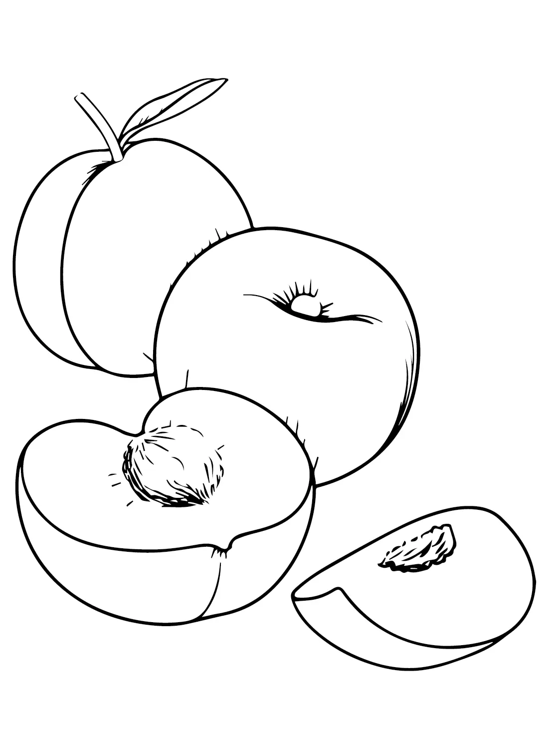 Nectarina Para Colorear 5