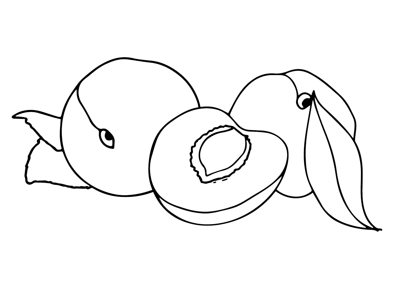 Nectarina Para Colorear 7
