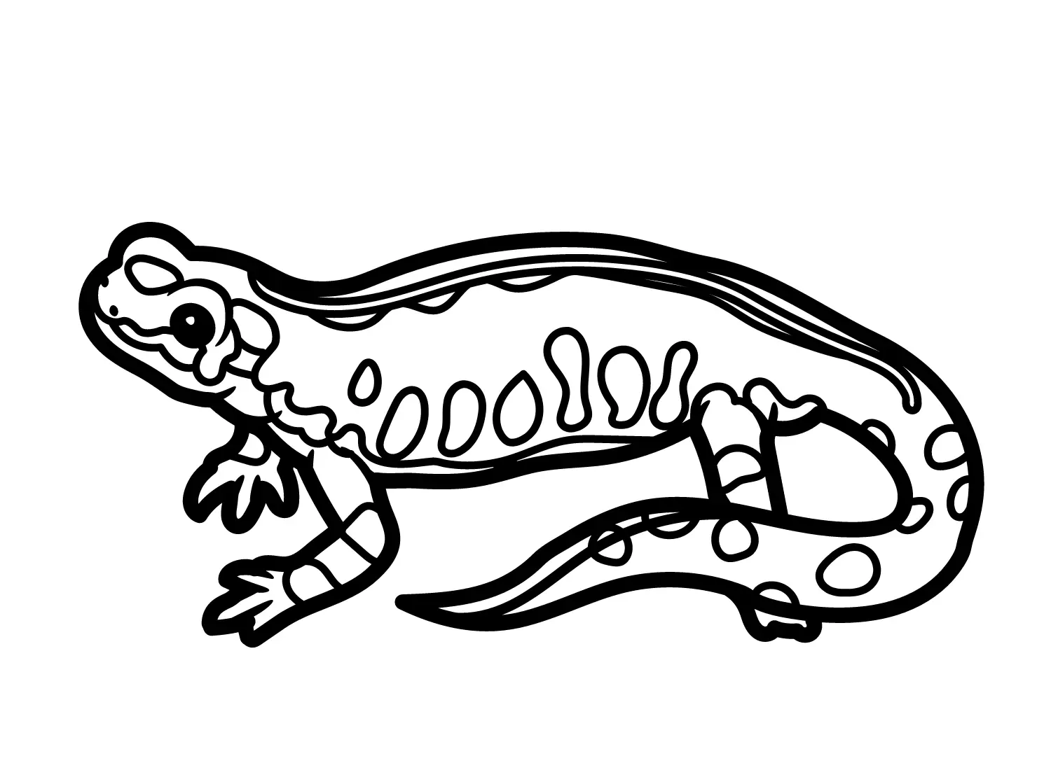 Newt Coloring Pages 1
