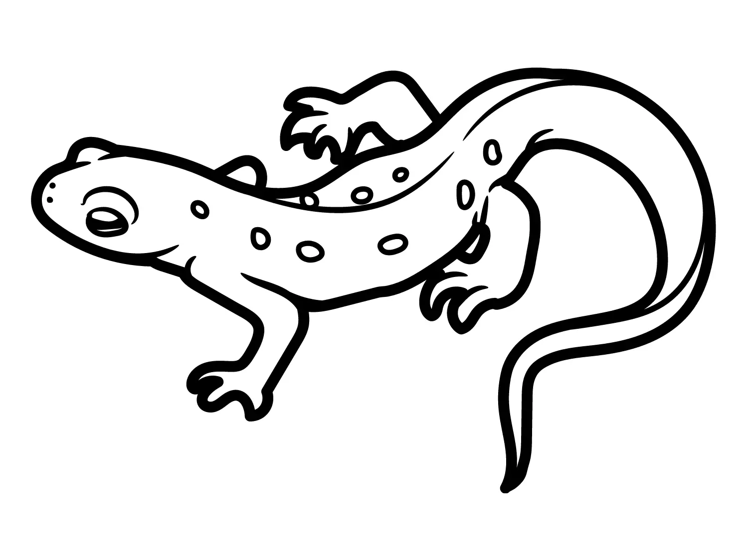 Newt Coloring Pages 2