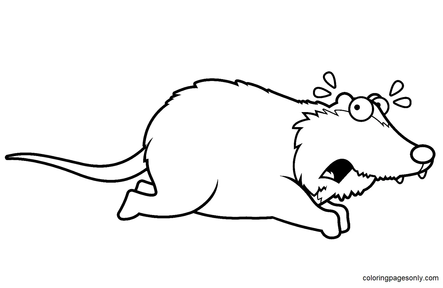 Opossum Ausmalbilder 10
