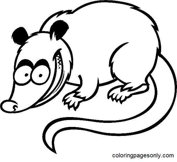Opossum Ausmalbilder 2