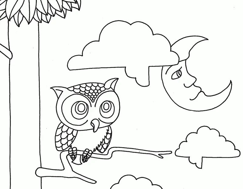 Owl Coloring Pages 20