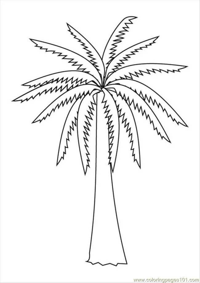 Palm Leaf Coloring Pages 26