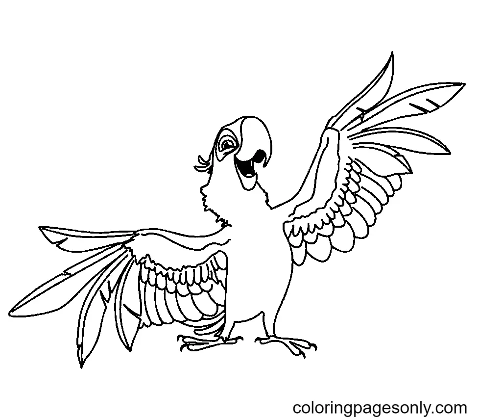Parrot Coloring Pages 19