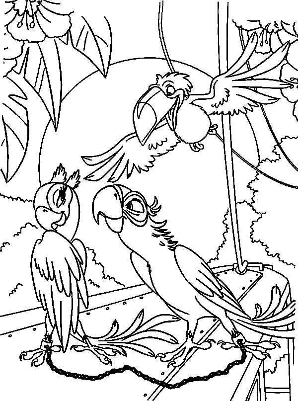 Parrot Coloring Pages 35