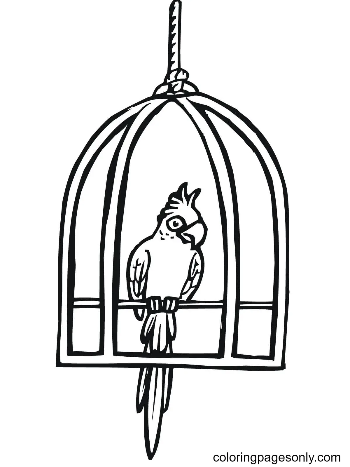 Parrot Coloring Pages 37