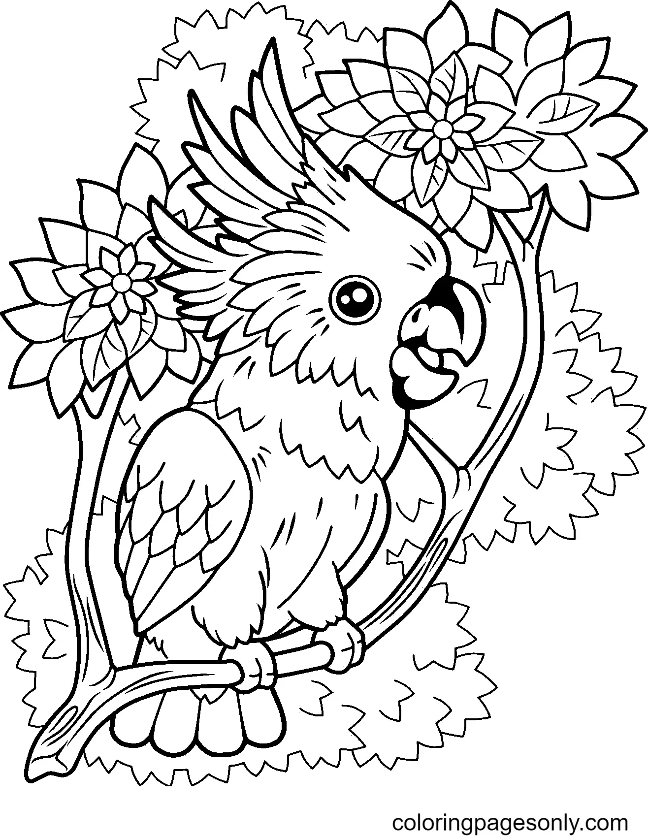 Parrot Coloring Pages 40