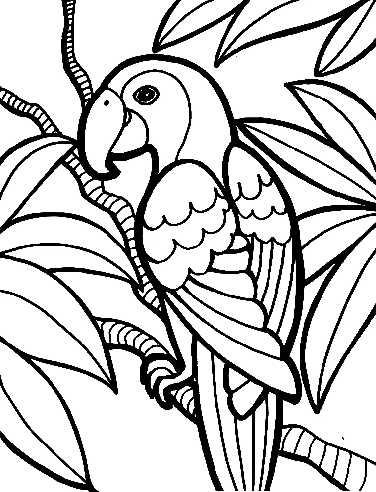 Parrot Coloring Pages 41