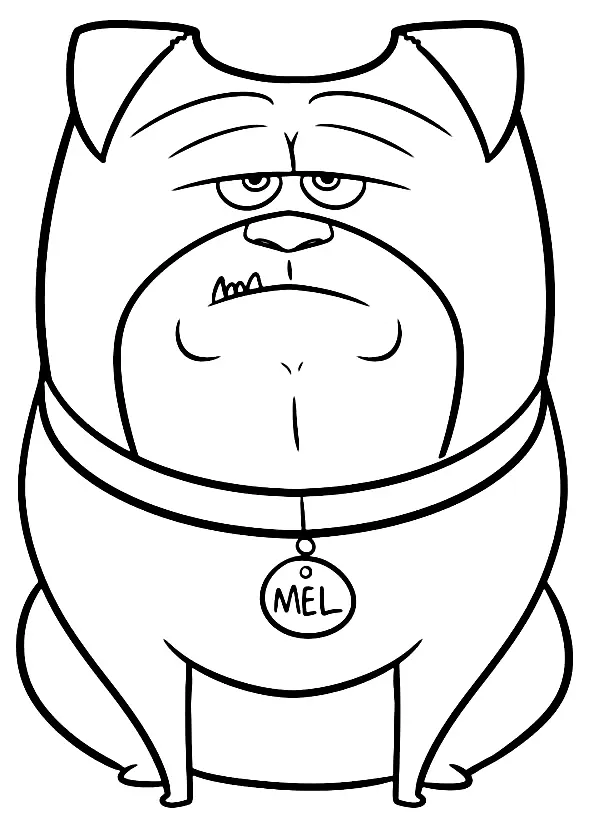 Pets Coloring Pages 34