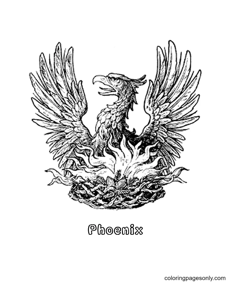 Phoenix Ausmalbilder 32
