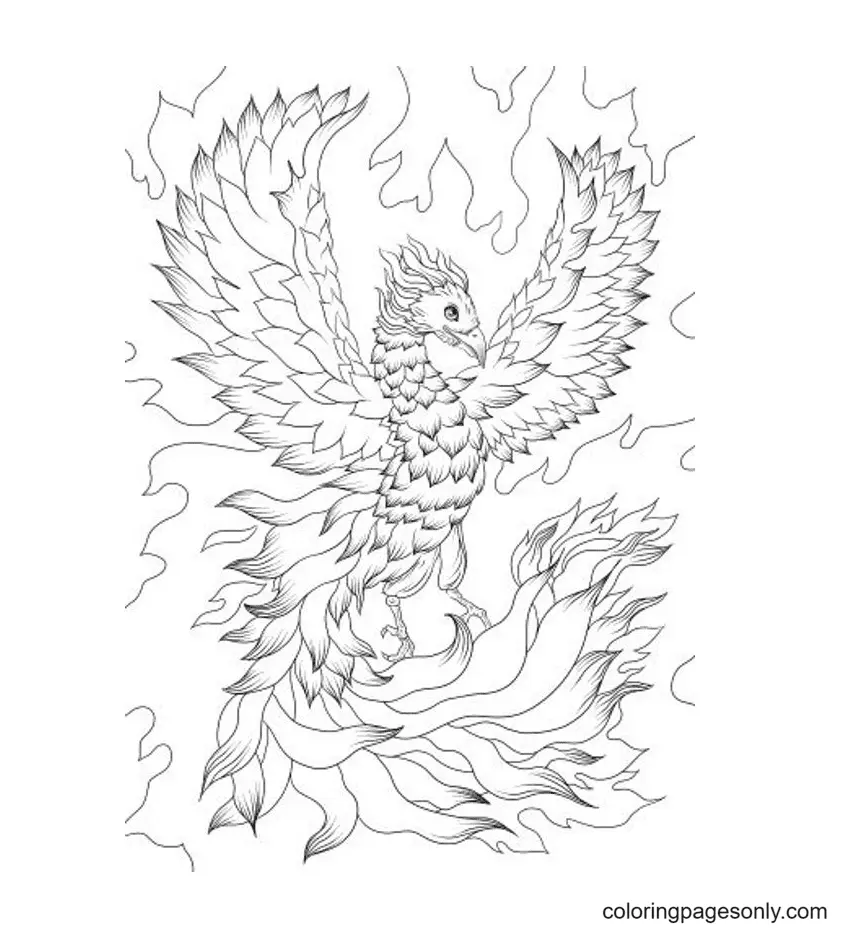 Phoenix Ausmalbilder 6