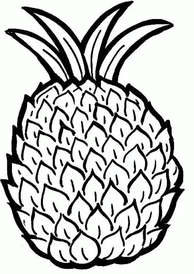 Pineapple Coloring Pages 5