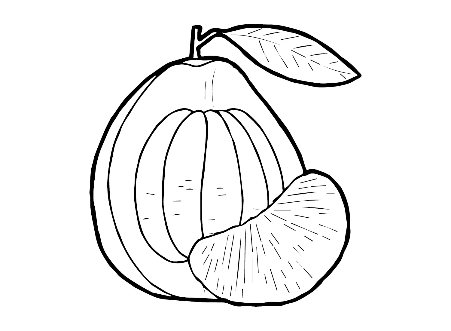 Desenhos de Pomelo Para Colorir 16