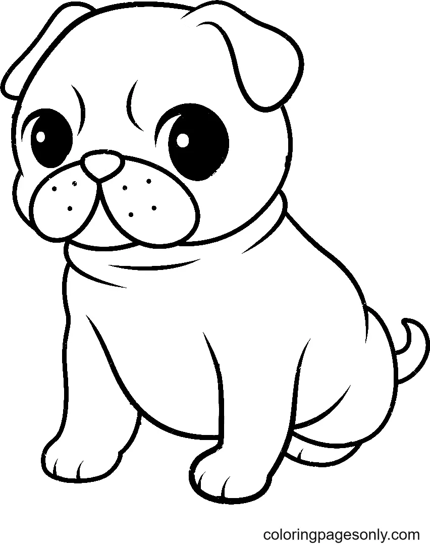 Pug Coloring Pages 3