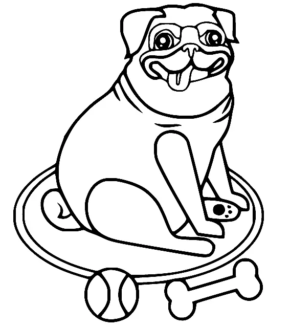 Pug Coloring Pages 40